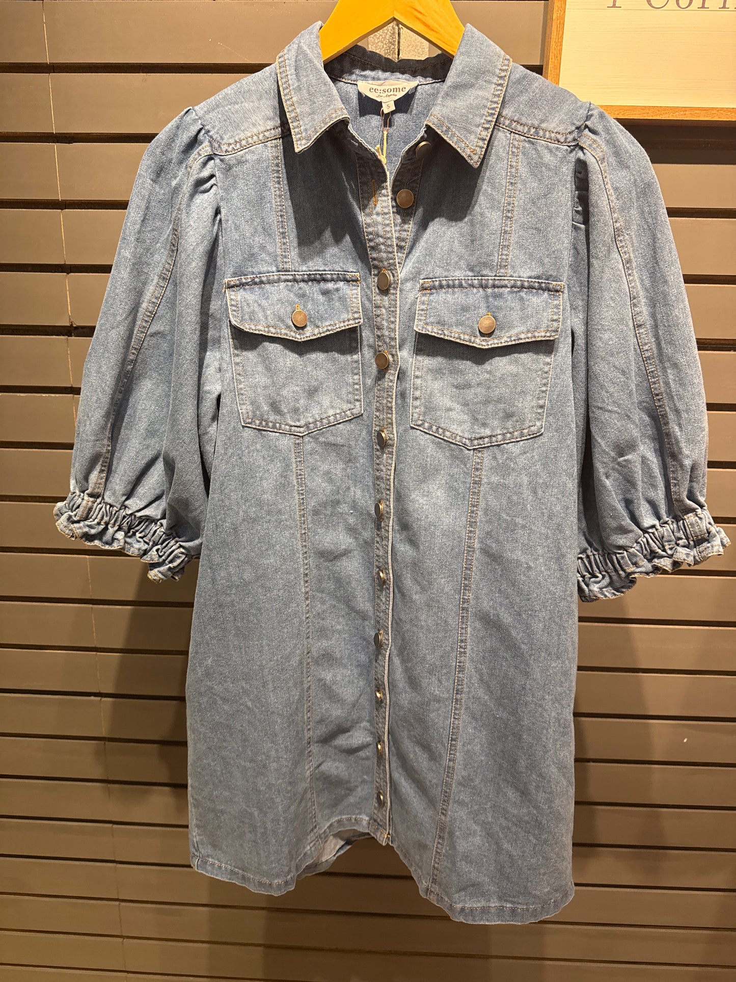 Everything I need Denim Dress