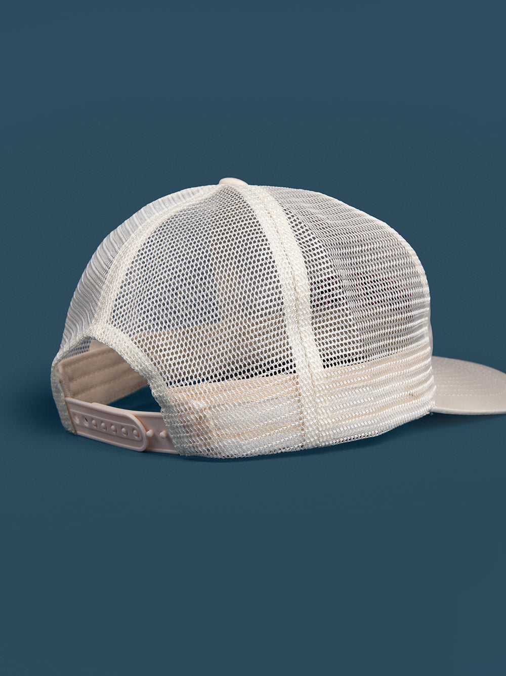 Pawdre Hat