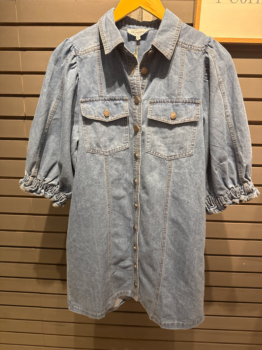 Everything I need Denim Dress