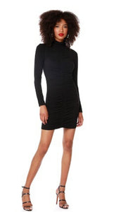 Bobi Shirred Turtleneck Dress