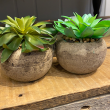 Load image into Gallery viewer, Succulent in Stone Pot