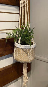 Rosalyn Hanging Pot